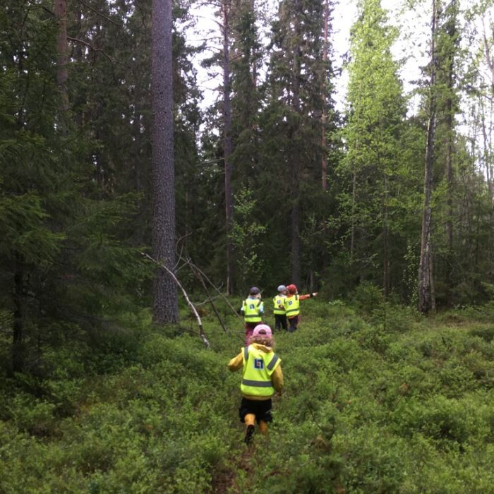 Äventyr i skogen | Liten förskola Östersund, Föräldrakooperativet Solen i Odensala, Östersund
