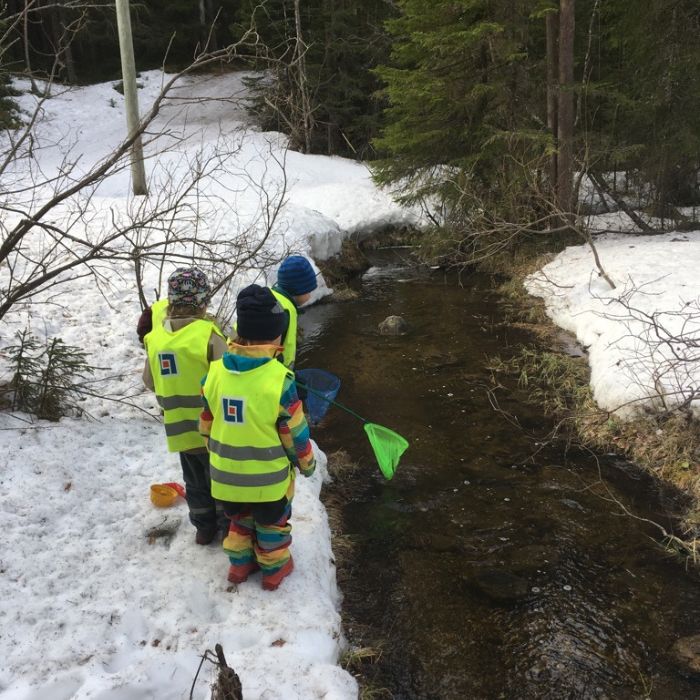 Äventyr i skogen | Liten förskola Östersund, Föräldrakooperativet Solen i Odensala, Östersund